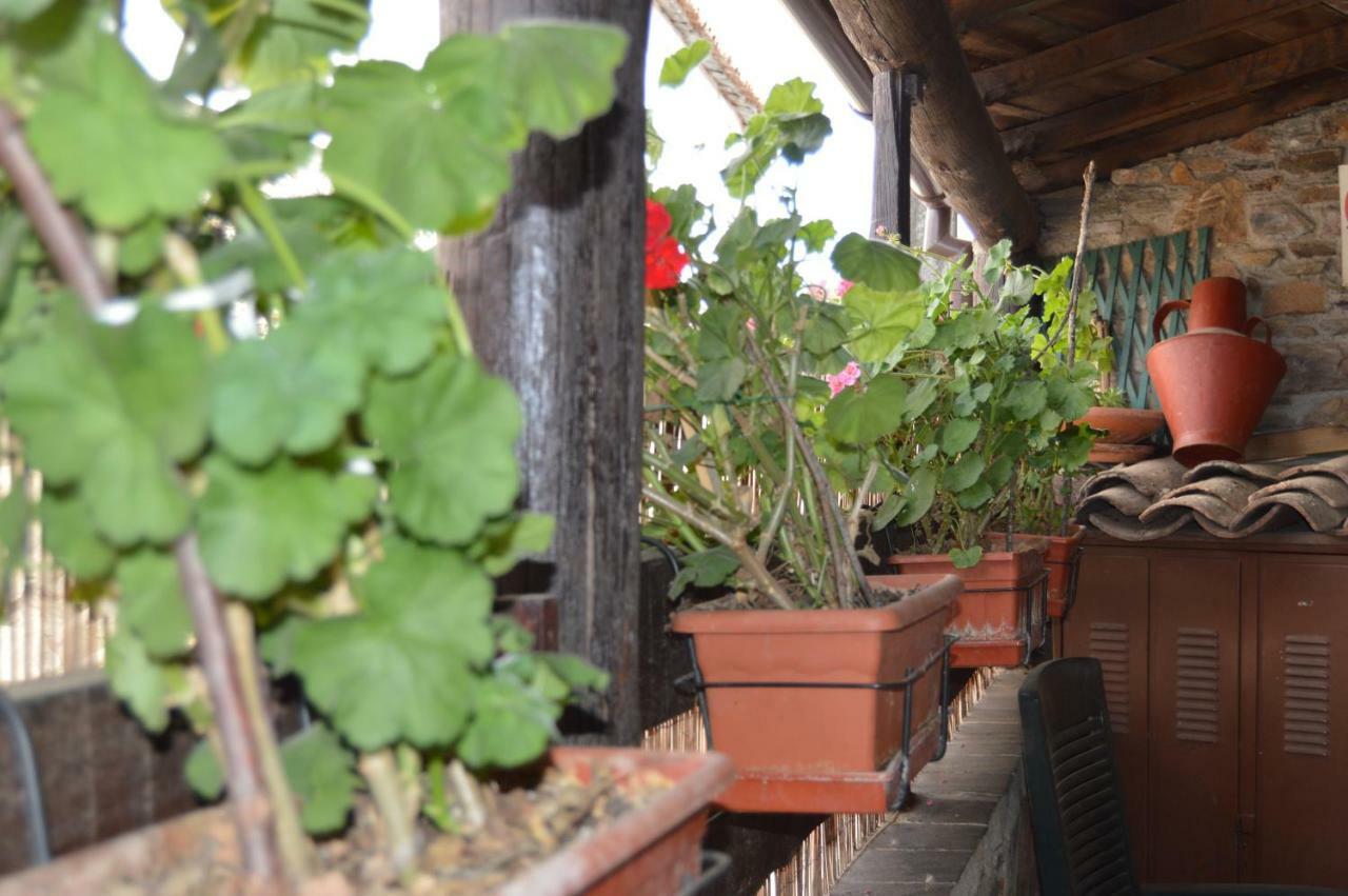 Apimonte Casa Do Pascoal - Pn Montesinho Villa Braganca Bagian luar foto