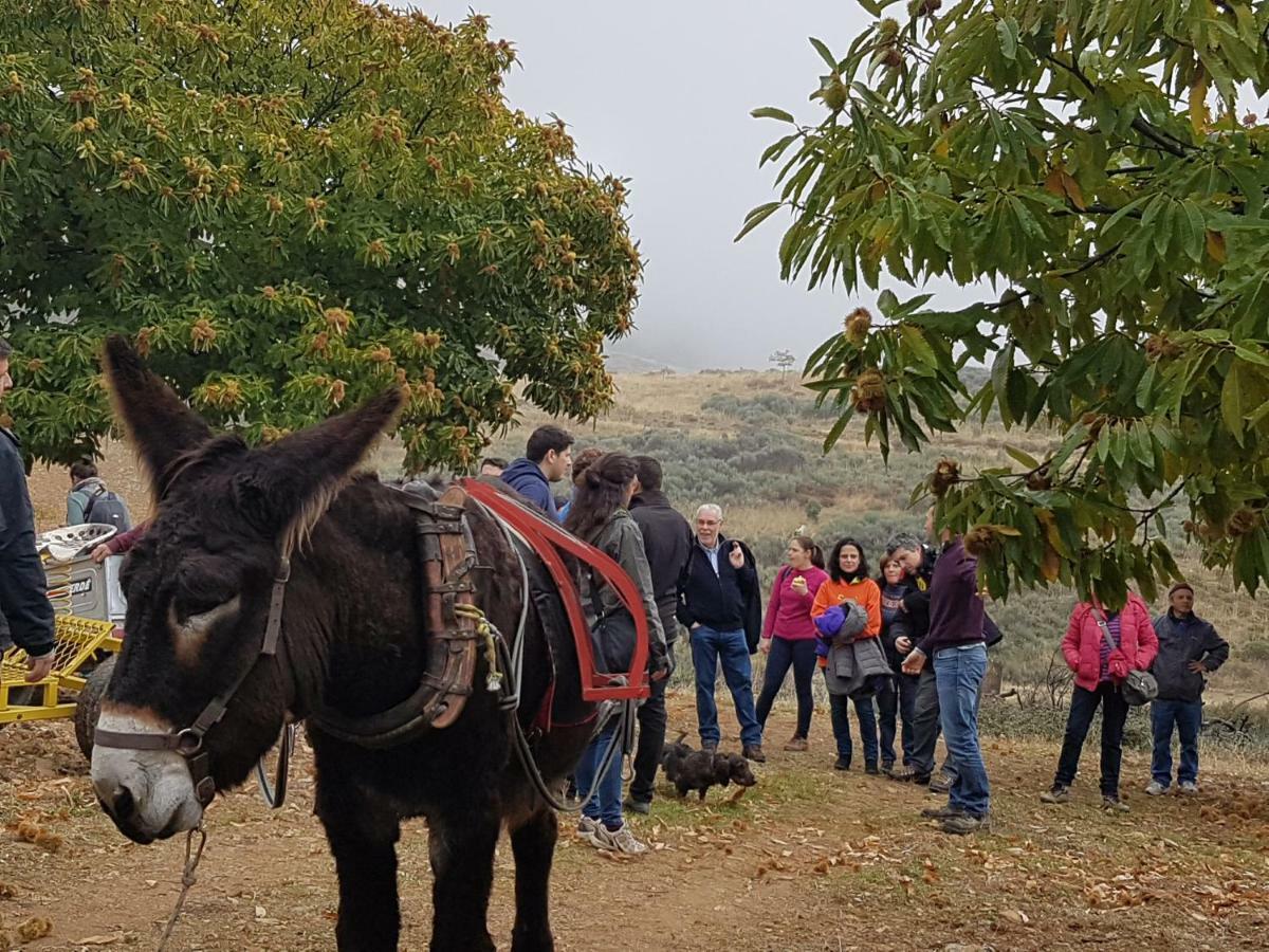 Apimonte Casa Do Pascoal - Pn Montesinho Villa Braganca Bagian luar foto