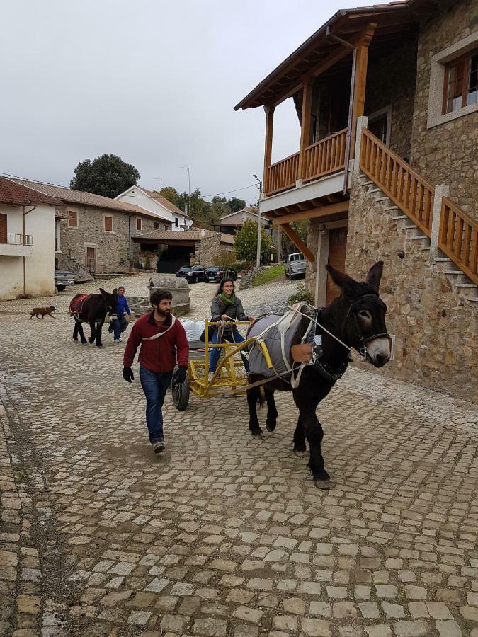 Apimonte Casa Do Pascoal - Pn Montesinho Villa Braganca Bagian luar foto